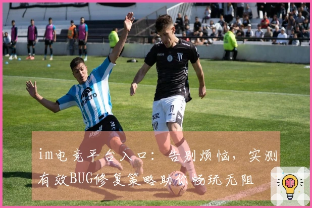 im电竞平台入口：告别烦恼，实测有效BUG修复策略助你畅玩无阻