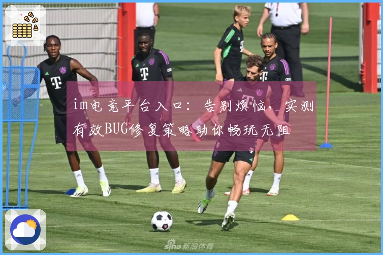 im电竞平台入口：告别烦恼，实测有效BUG修复策略助你畅玩无阻