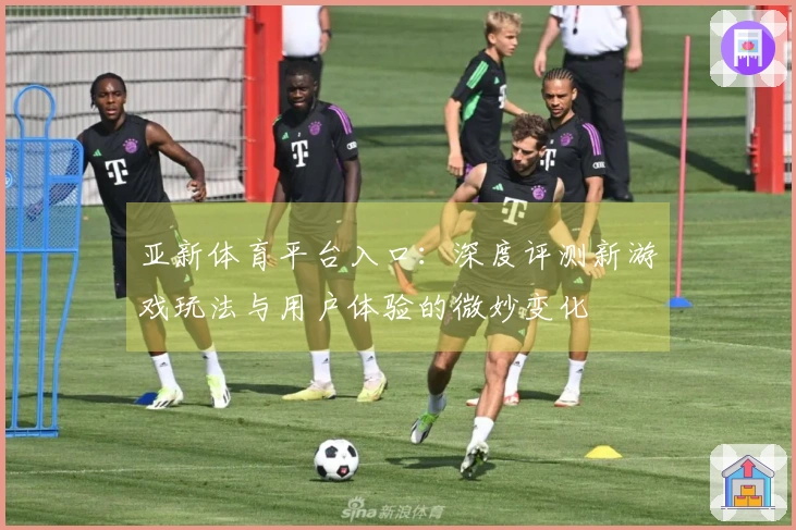 亚新体育平台入口：深度评测新游戏玩法与用户体验的微妙变化