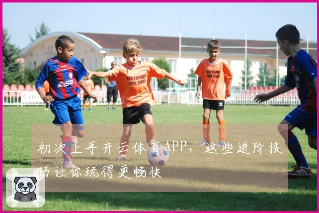 初次上手开云体育APP，这些进阶技巧让你玩得更畅快
